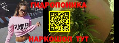 бошки Краснознаменск