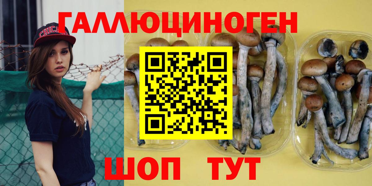 Псилоцибиновые грибы мухоморы  Вход с VPN  Псилоцибиновые грибы ЛСД  где найти   Балтийск 