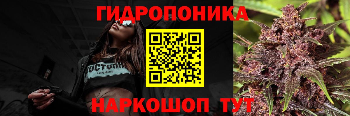 Марихуана Ganja Балтийск